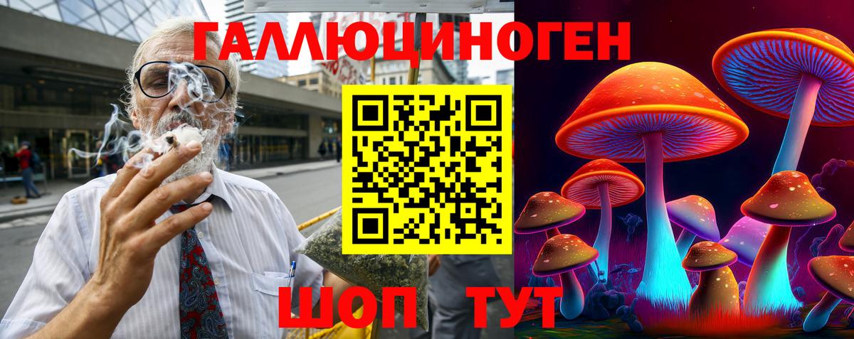 Псилоцибиновые грибы Psilocybine cubensis Вязьма