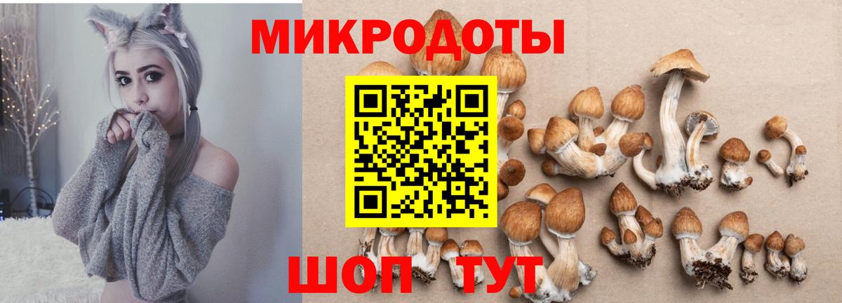 Вязьма  Галлюциногенные грибы GOLDEN TEACHER  Псилоцибиновые грибы MAGIC MUSHROOMS  Вход с VPN 